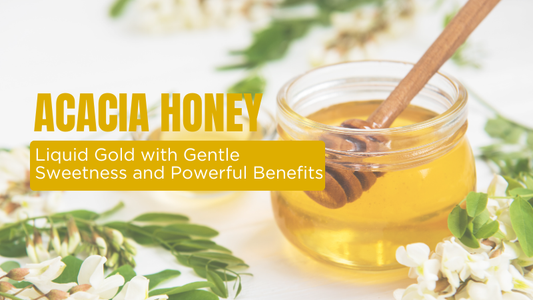 Acacia Honey: Liquid Gold with Gentle Sweetness and Powerful Benefits