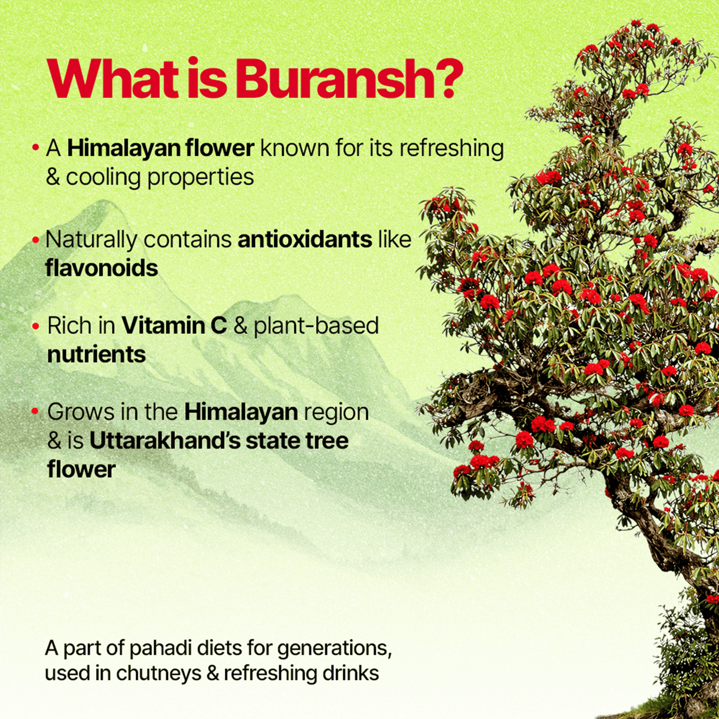 Himsrot Buransh Jam (Preserve) With Honey & Chia Seeds | 250gm
