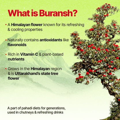 Himsrot Buransh Jam (Preserve) With Honey & Chia Seeds | 250gm