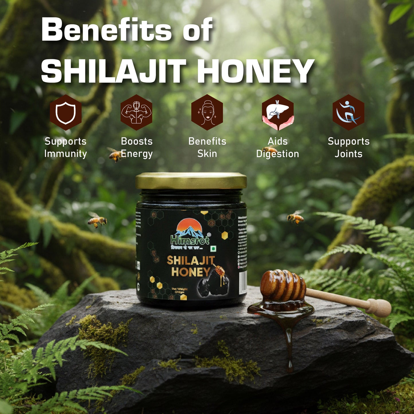 Himsrot Shilajit Honey 250g