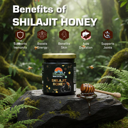 Himsrot Shilajit Honey 250g