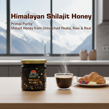 Himsrot Shilajit Honey 250g